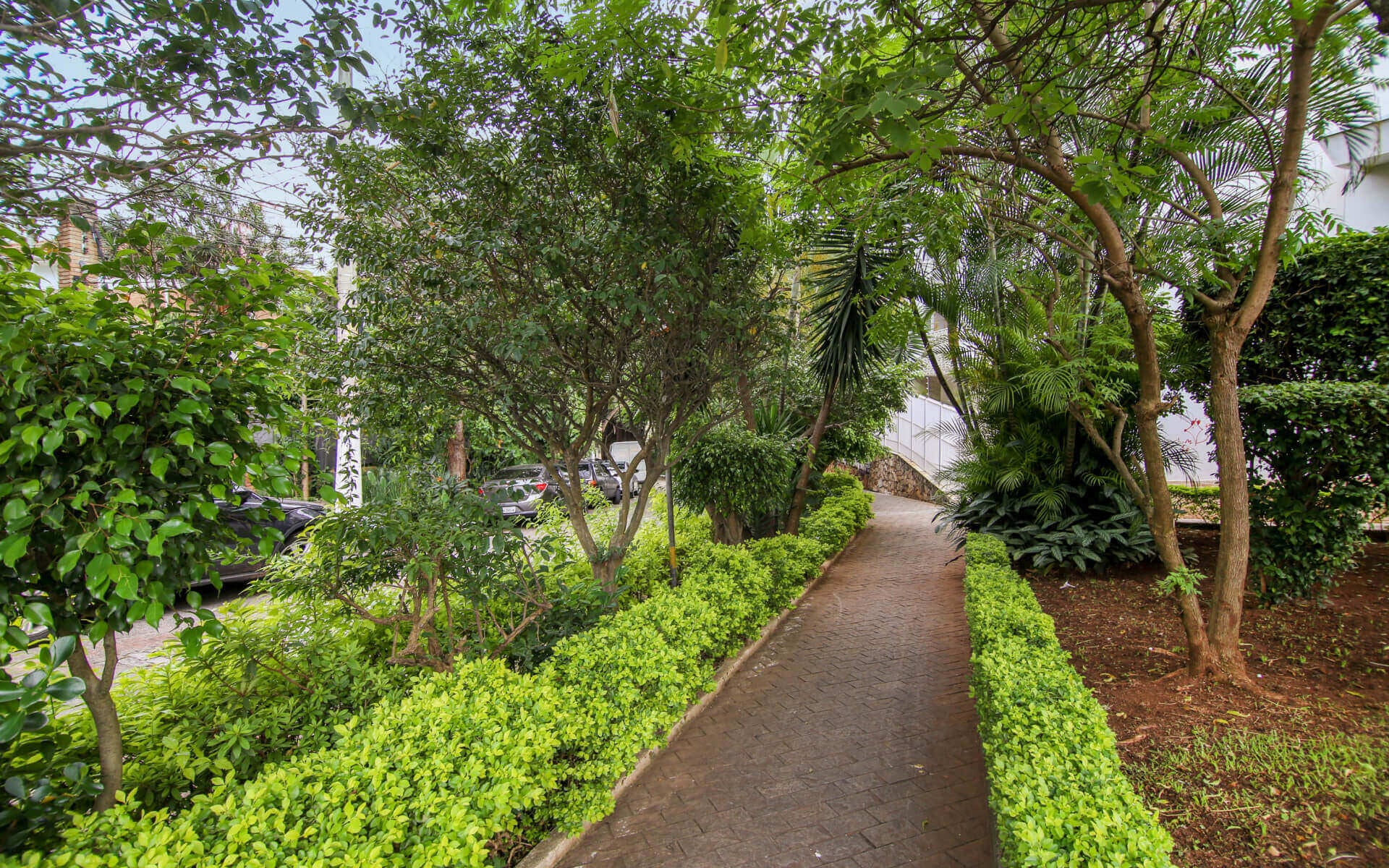 Rua Doutor Fabrício Vampré