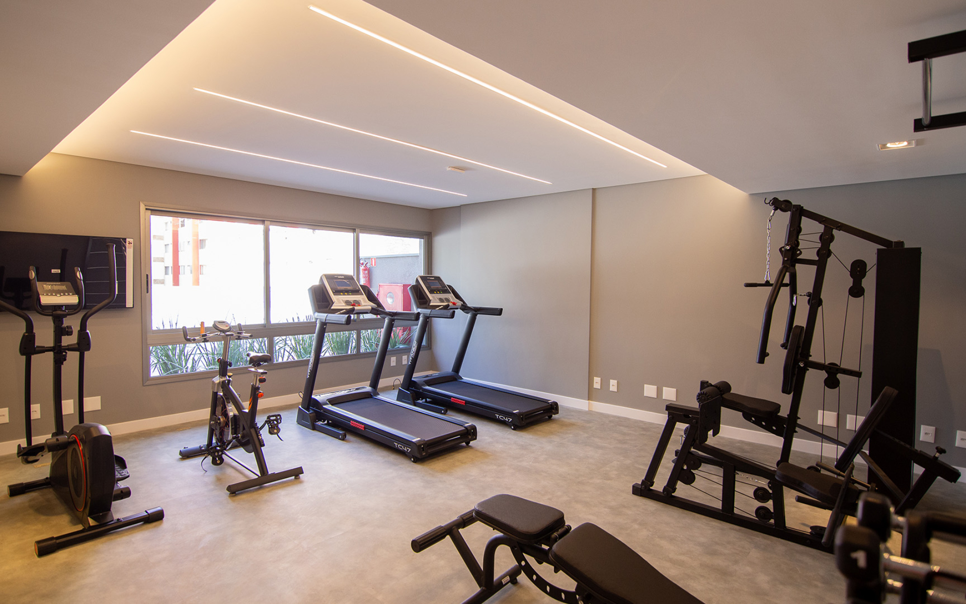 Fitness