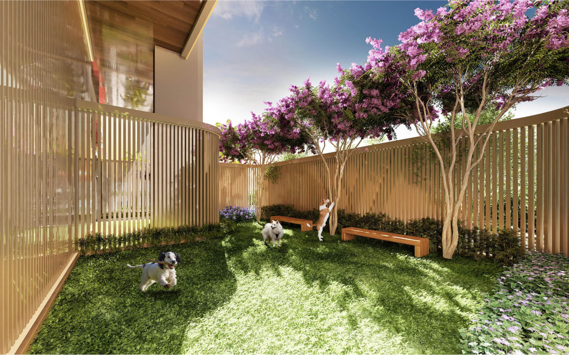 Pet place e com espaço para banho