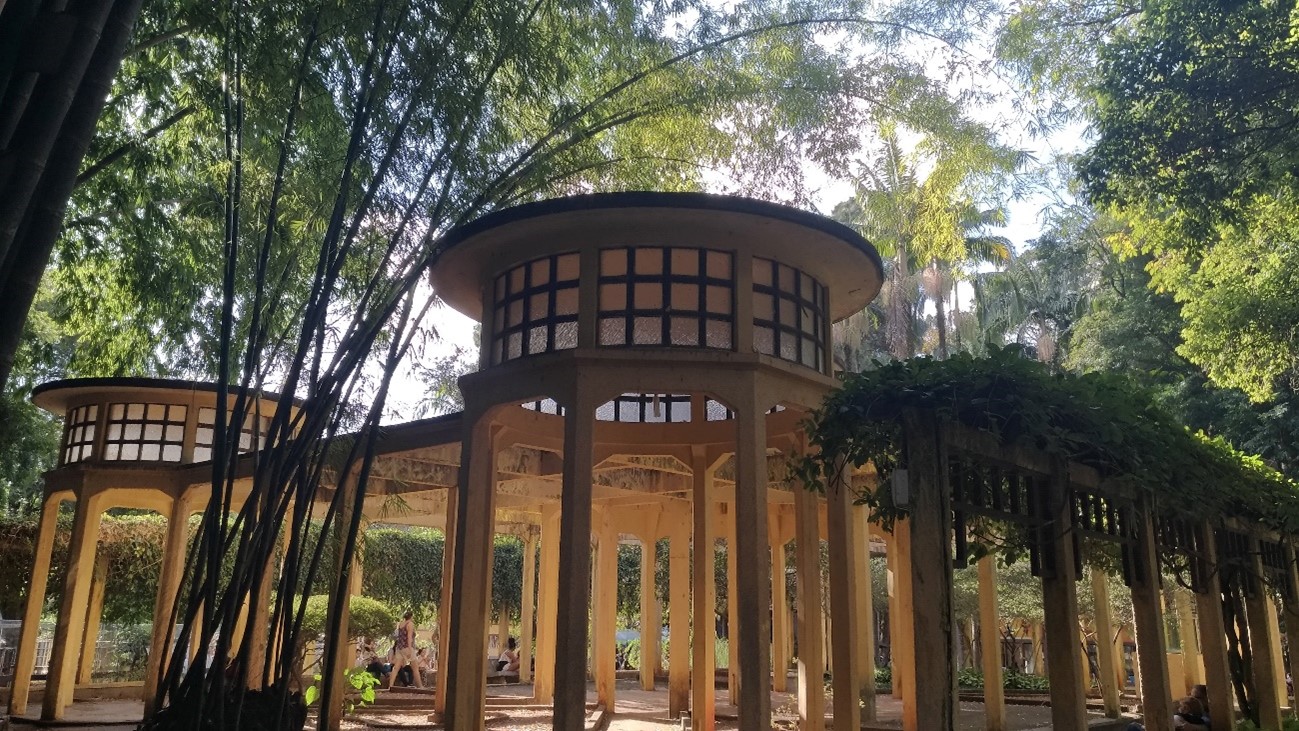 Destaque - O Verde a cidade