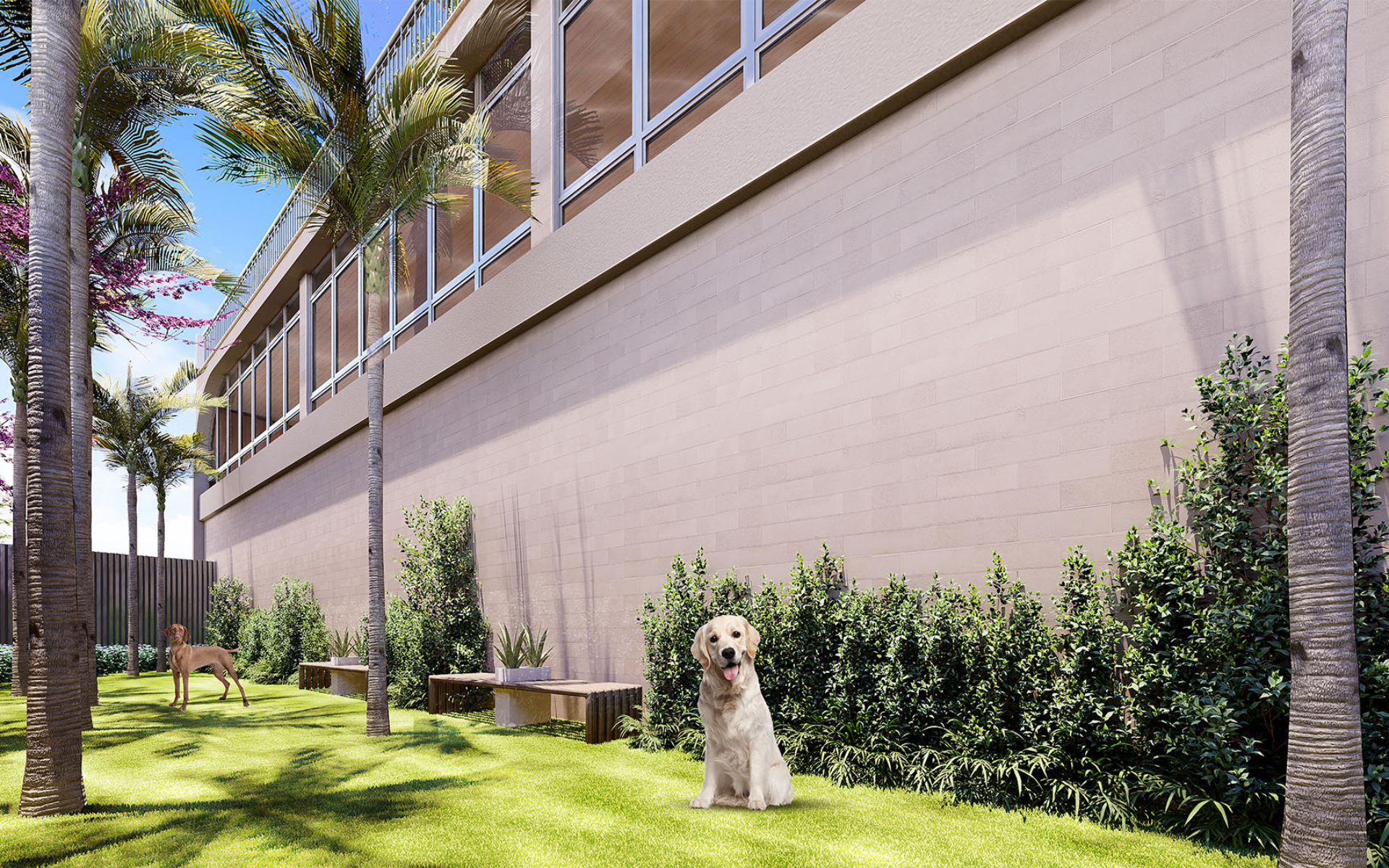Pet Place com área para banho