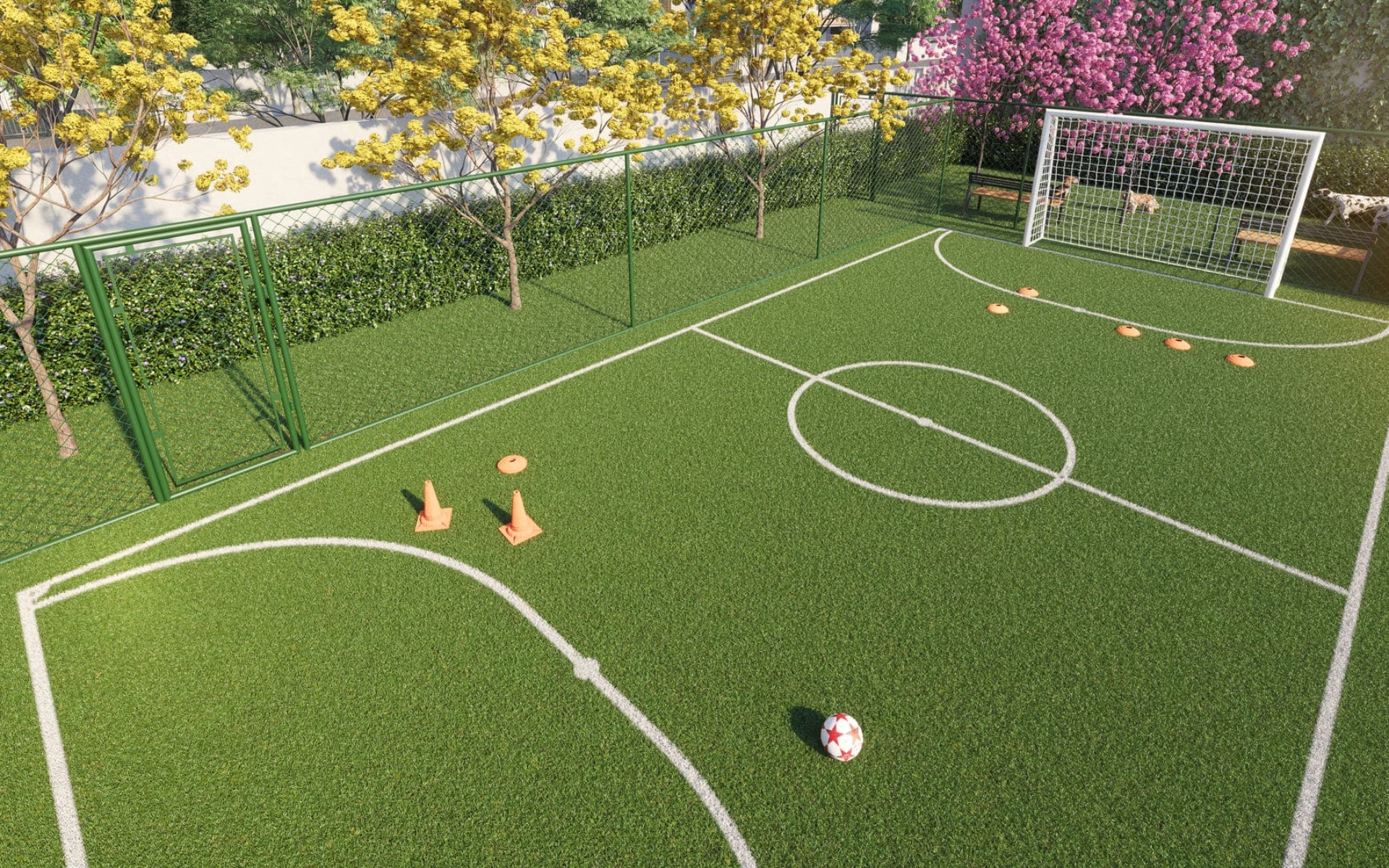 Campo Gramado