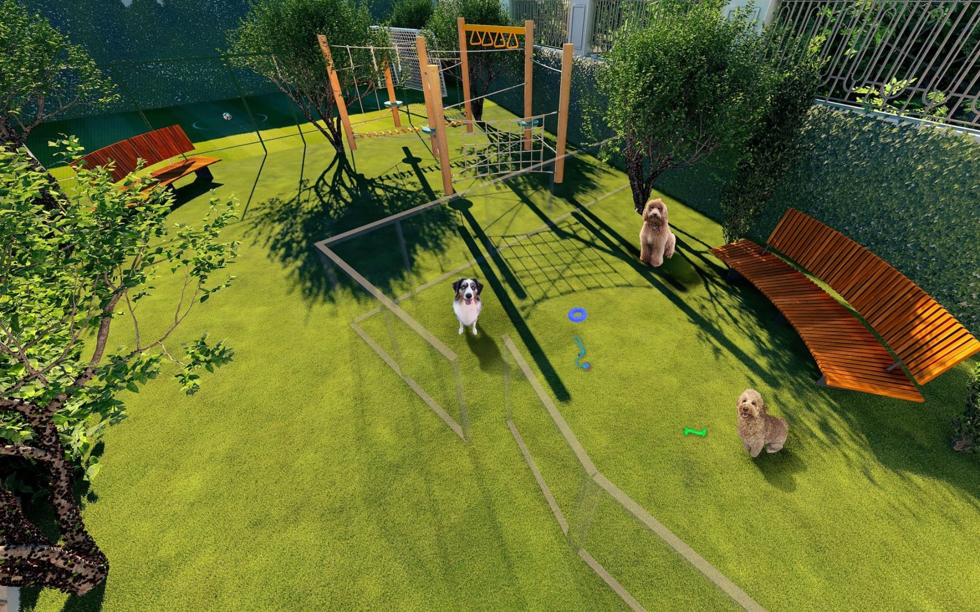 Harmonie - Pet place + Campo gramado